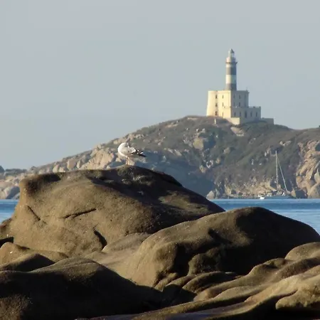 Moby Dick House Apartman